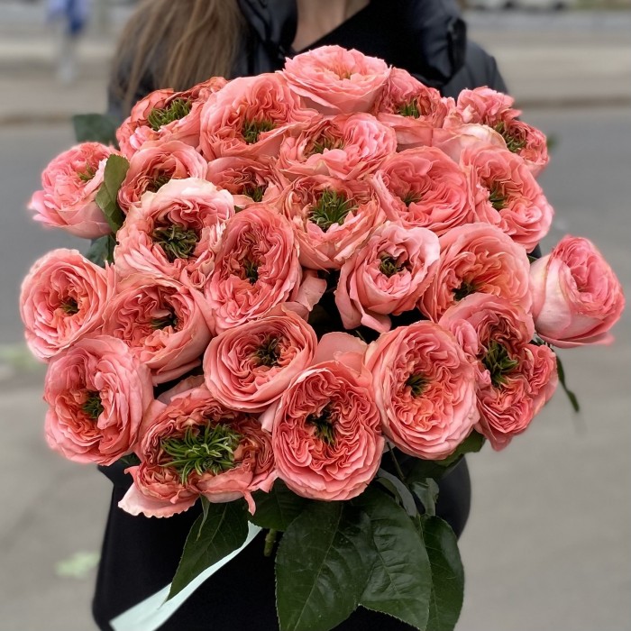 Пионовидная роза Мандарин экспрешен