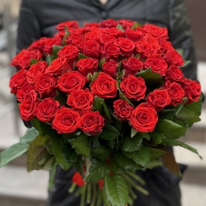 Роза Красная Эль Торо