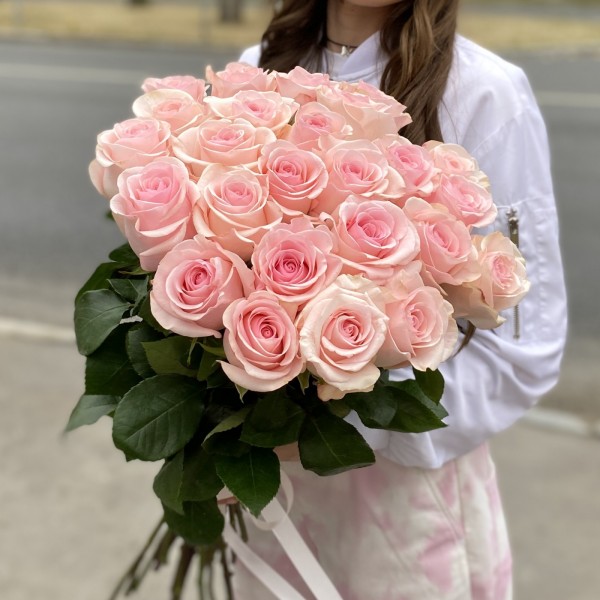 Роза Новия 50 см