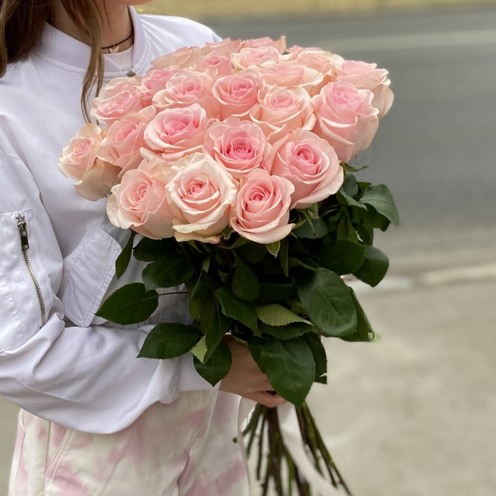 Роза Новия 60 см