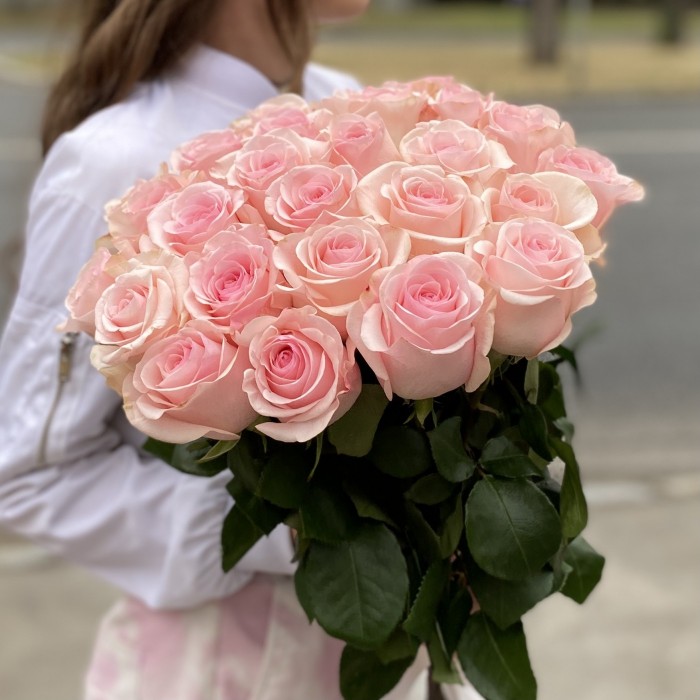 Роза Новия 60 см