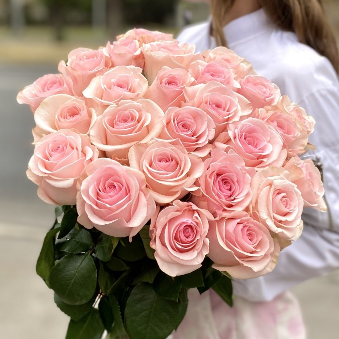 Роза Новия 60 см