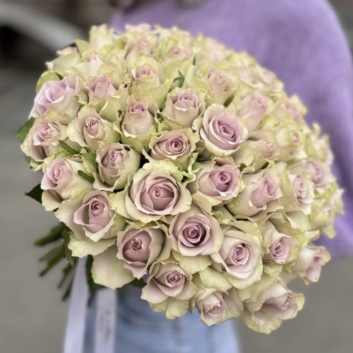 Роза сиреневая Морнинг Дью