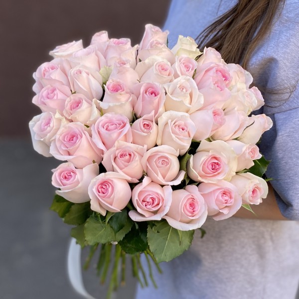 Роза Свит Ревиваль 40 см