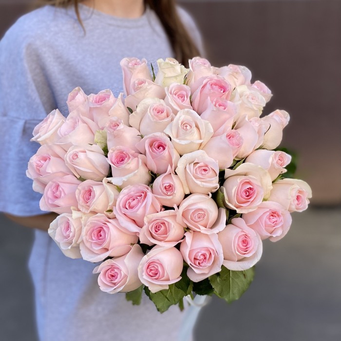 Роза Свит Ревиваль 40 см