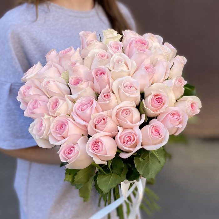 Роза Свит Ревиваль 40 см