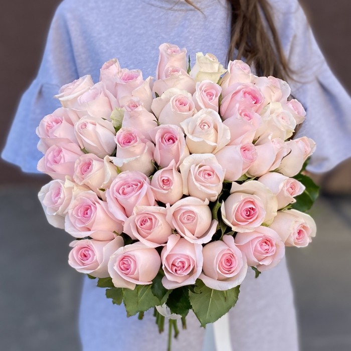 Роза Свит Ревиваль 40 см