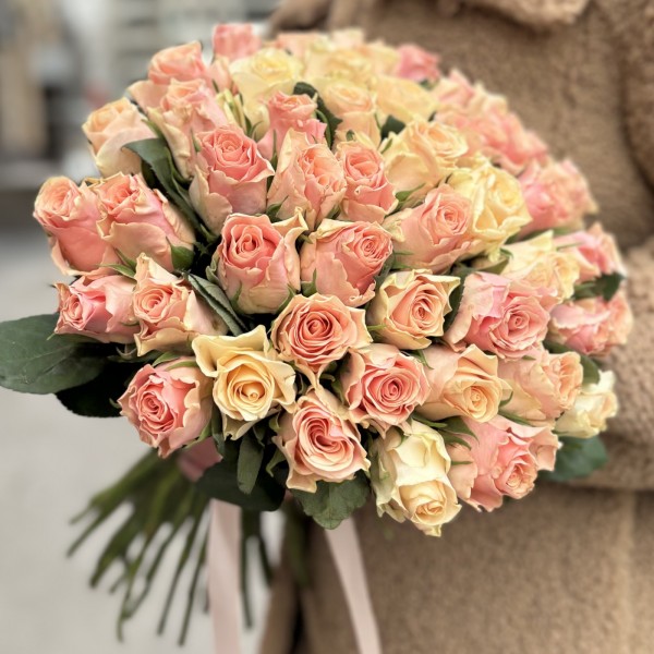 Коралловая роза Свит Такаци