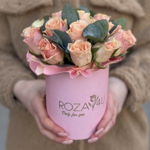 Роза Свит Такаци в коробке