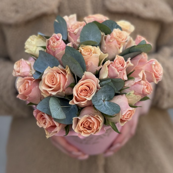 Роза Свит Такаци в коробке