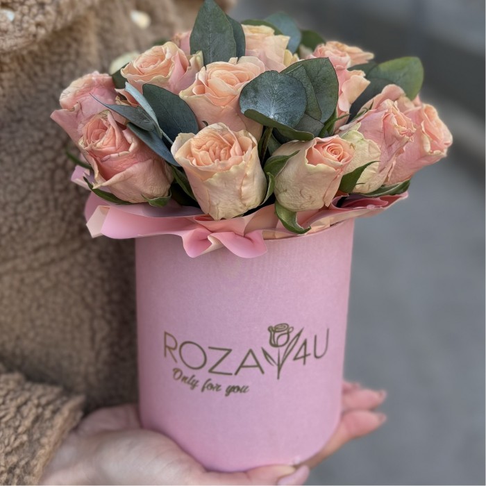 Роза Свит Такаци в коробке