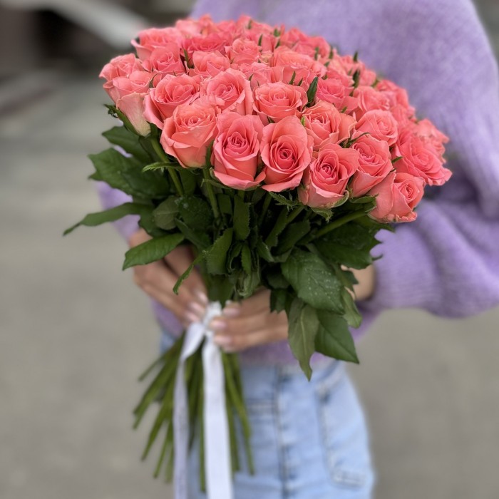 Роза коралловая Эйс Пинк