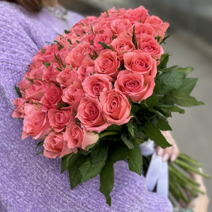 Роза коралловая Эйс Пинк