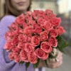 Роза коралловая Эйс Пинк