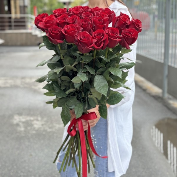 Роза красная Эксплорер 80 см