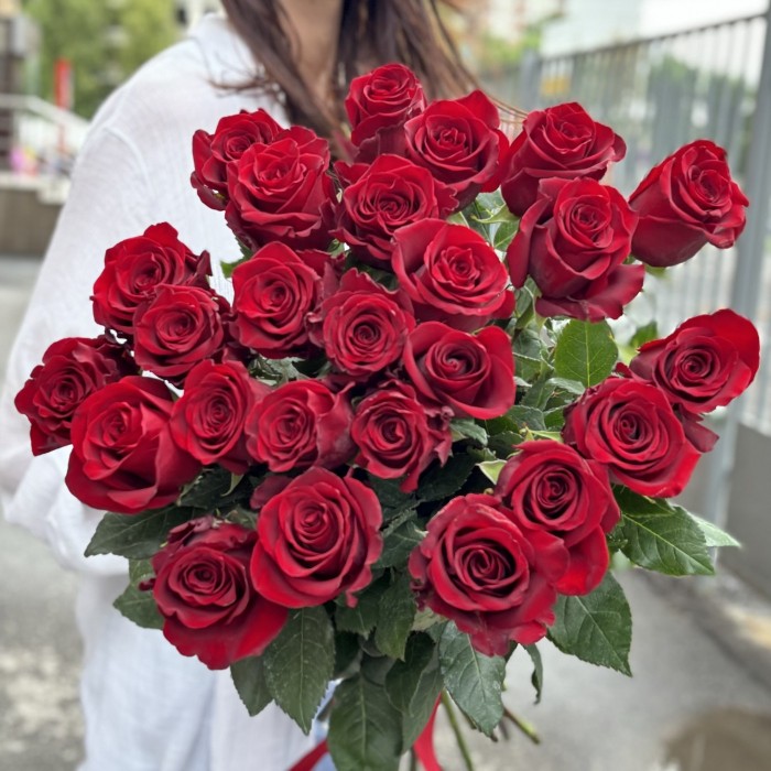 Роза красная Эксплорер 80 см