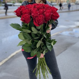 Роза красная Эвер Ред 80 см