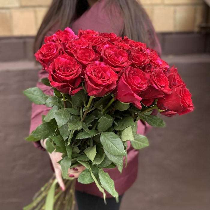 Роза красная Ред Пантер 60 см