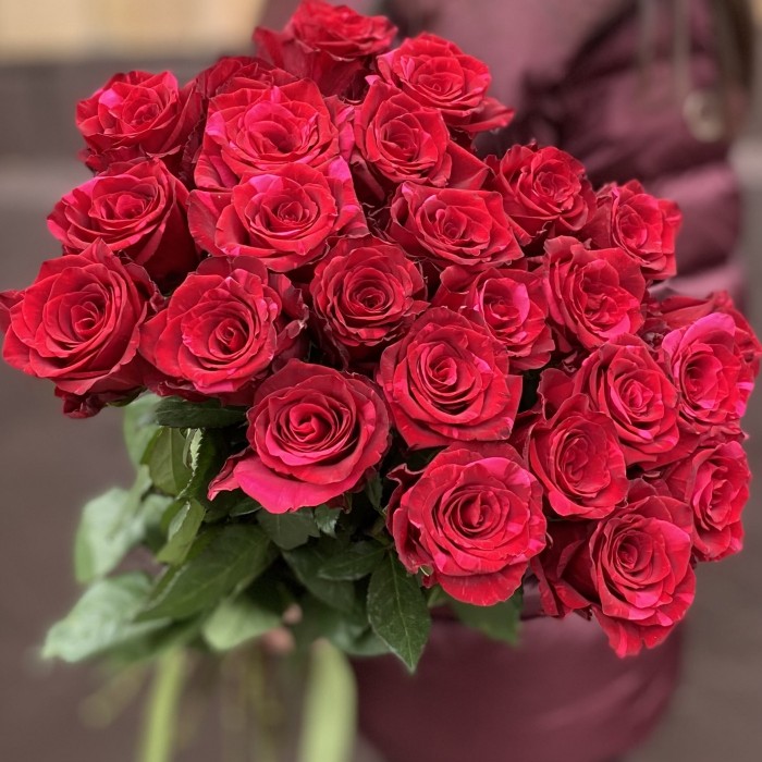 Роза красная Ред Пантер 60 см