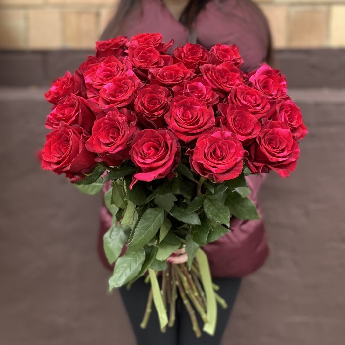 Роза красная Ред Пантер 60 см