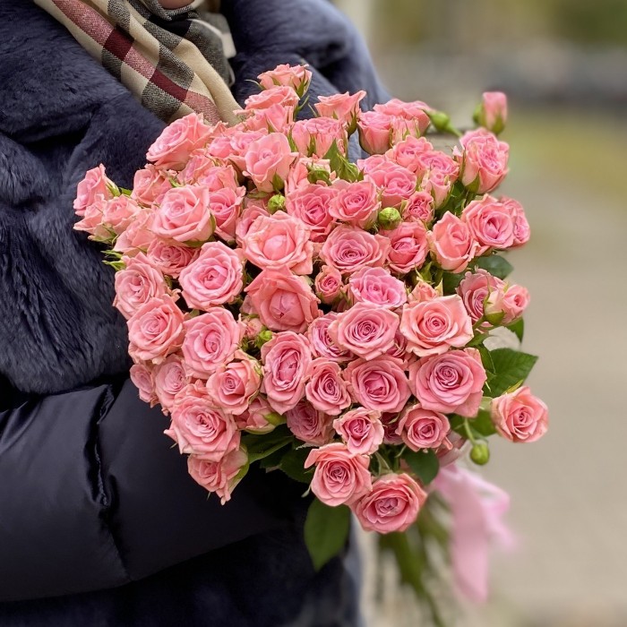 Кустовая роза Одилия 50 см