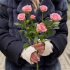 Кустовая роза Одилия