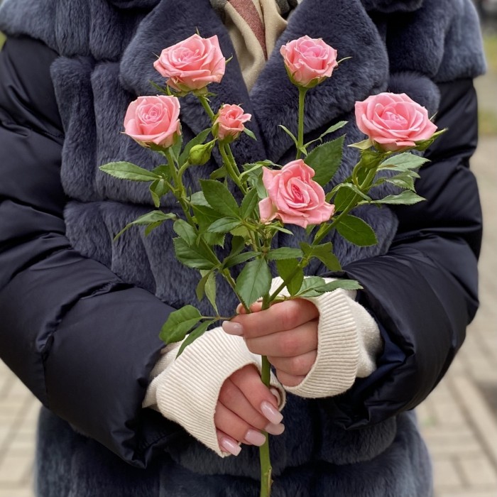 Кустовая роза Одилия