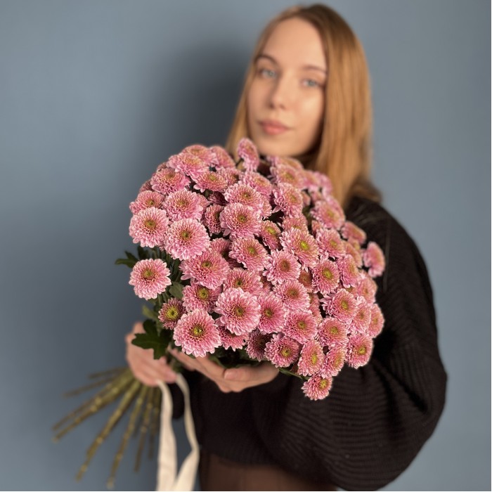 Розовая кустовая хризантема Романс