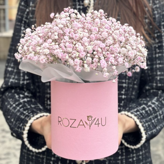 Розовая гипсофила в коробке