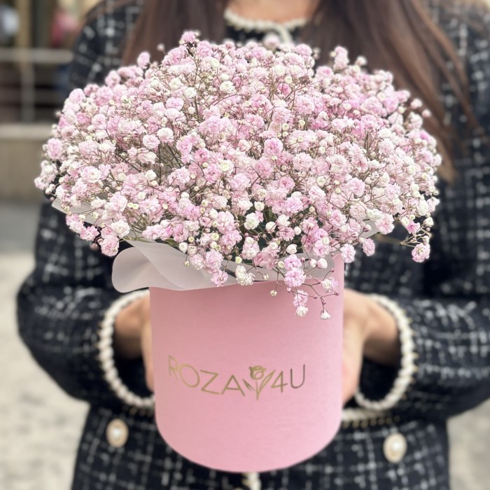 Розовая гипсофила в коробке