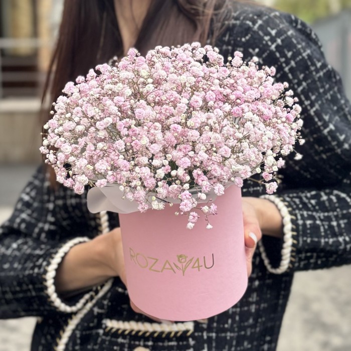 Розовая гипсофила в коробке