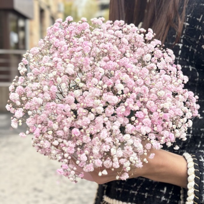 Розовая гипсофила в коробке