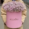 Розовая гипсофила в розовой коробке