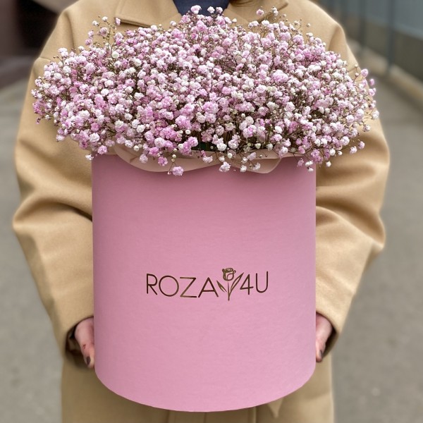 Розовая гипсофила в розовой коробке