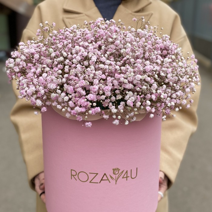 Розовая гипсофила в розовой коробке