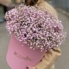 Розовая гипсофила в розовой коробке