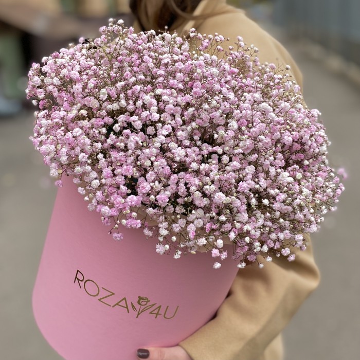 Розовая гипсофила в розовой коробке