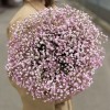 Розовая гипсофила в розовой коробке