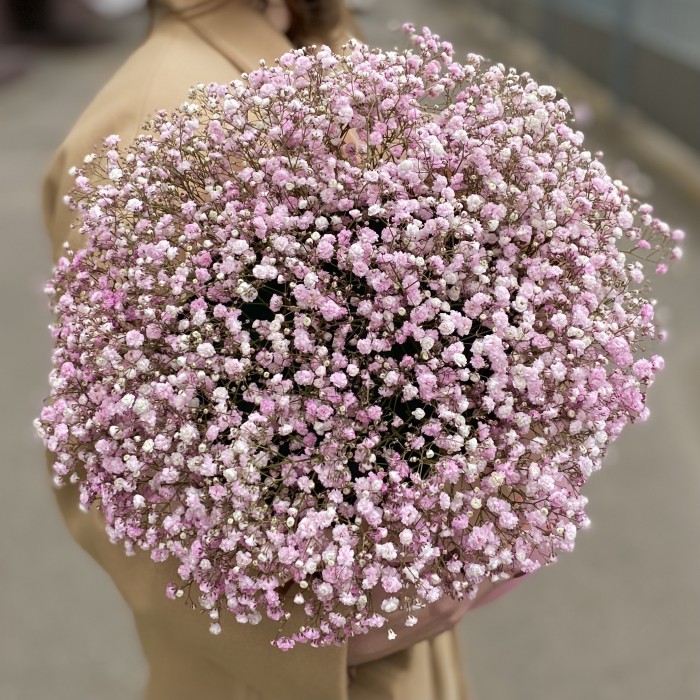 Розовая гипсофила в розовой коробке