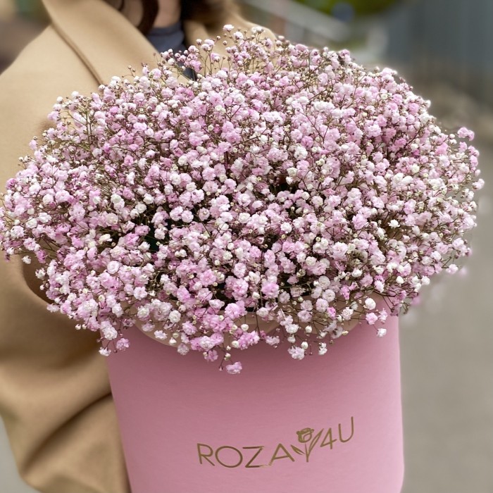Розовая гипсофила в розовой коробке