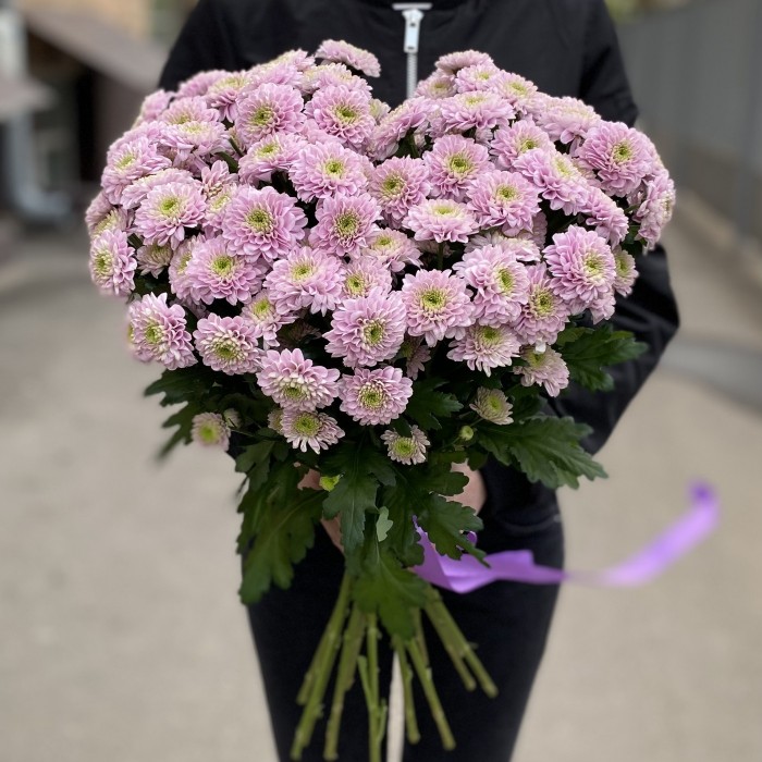 Розовая кустовая хризантема Романс