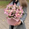 Розовые орхидеи в коробке