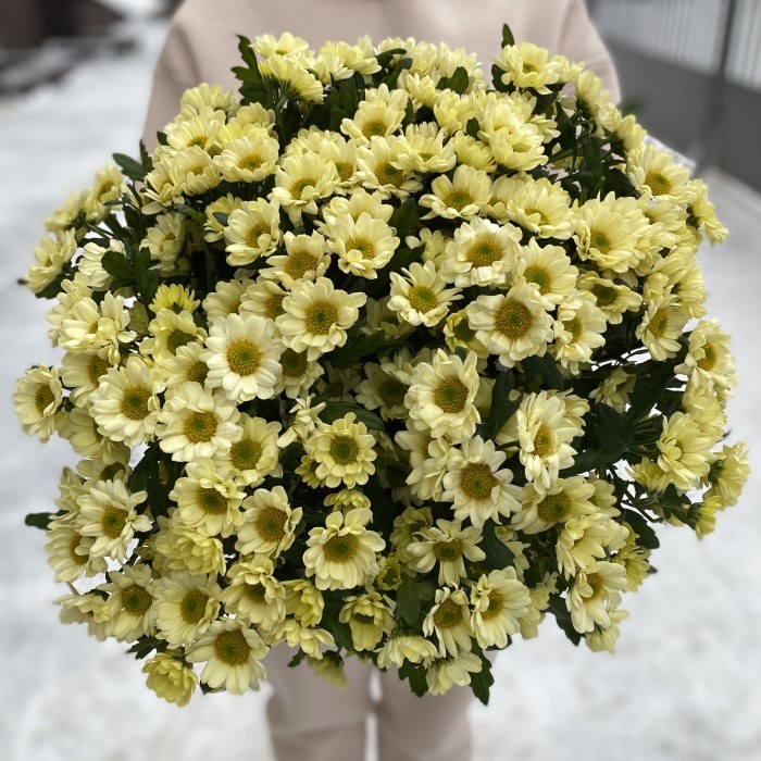 Сантини кремовая