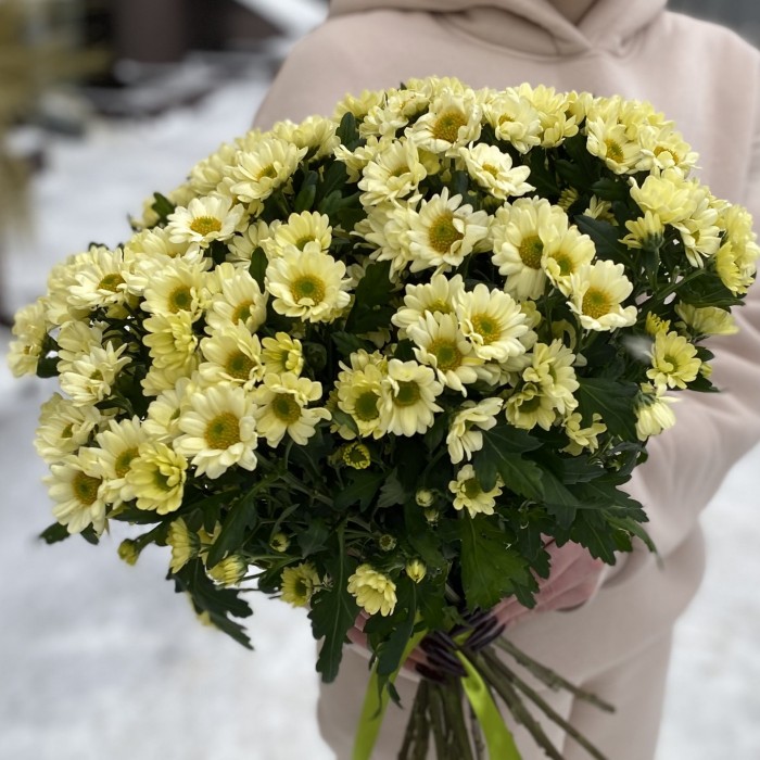 Сантини кремовая