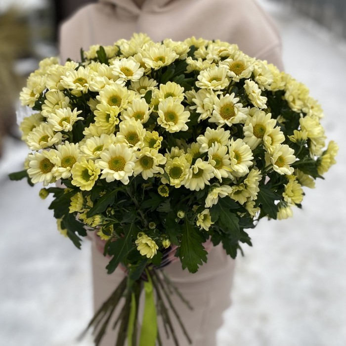 Сантини кремовая