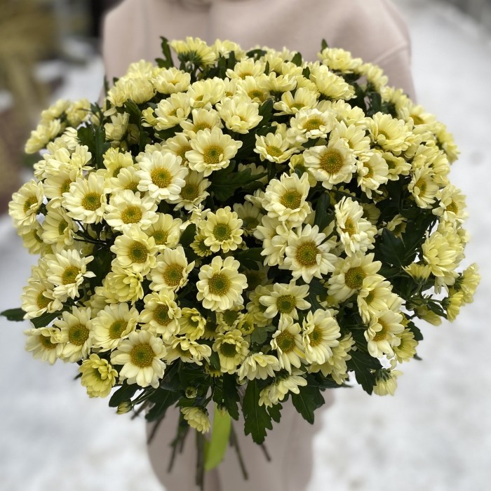 Сантини кремовая