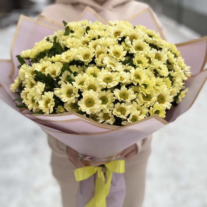 Букет из 15 кремовых хризантем Сантини