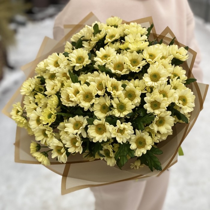 Букет из 15 кремовых хризантем Сантини