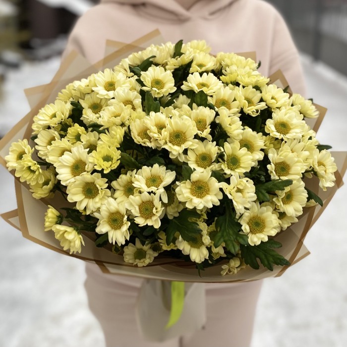 Букет из 15 кремовых хризантем Сантини