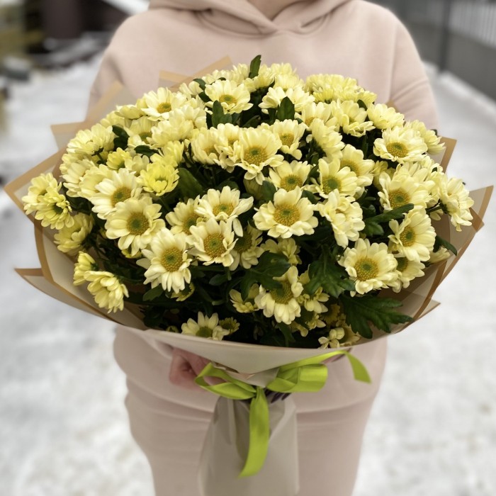 Букет из 15 кремовых хризантем Сантини